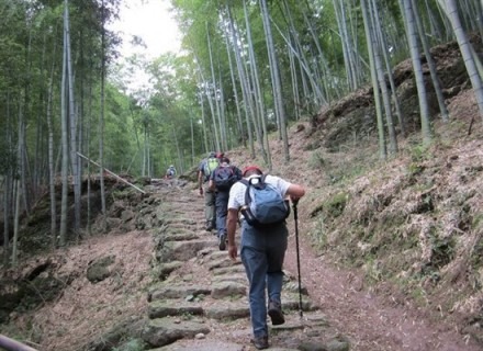 上山發現小木門（發現大量古